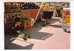 Sunny Farms Country Store, the early days