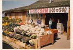 Sunny Farms Country Store, the early days