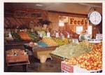 Sunny Farms Country Store, the early days