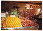 Sunny Farms Country Store, the early days
