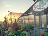 Our Farms Story and Nursery (Summer)