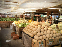 Summer Produce and Flowers